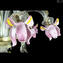 Chandelier Pink Iris Rosetto - Luxury Collection