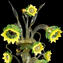 Wall Lamp Venetian Sunflowers with sparrows - Original Murano Glass