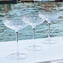 Set di 6 bicchieri da champagne incisi manualmente - vetro originale di murano