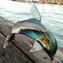 Dolphin - Sculpture in chalcedony - Original Murano Glass Omg