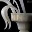 壁燈 Calla White + Gold - 1 燈 - Original Murano Glass