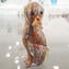 تمثال كلب في Murrine Millelfiori Gold - الحيوانات - زجاج مورانو الأصلي Omg