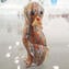 Figurine Chien en Murrine Millelfiori Or - Animaux - Verre de Murano original Omg