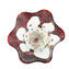 Drop Bowl Murrine Millefiori - Rouge et Argent - Verre Original de Murano OMG