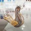 Dove Figurine in Murrine Millefiori Gold - Murano glass Handmade