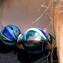 Immergrüne Murrina - Halskette venezianische Perlen - Original Murano Glas OMG