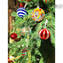 Christmas Ball - Canes Fantasy - RED - Murano Glass Xmas