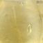 Vaso Clássico - Coleção de Ouro - Vidro Murano Original OMG