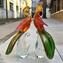 Pájaro loro macho - Escultura de vidrio - Vidrio de Murano original OMG
