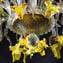 Plafonnier vénitien - Chrysanthème jaune - Collection Luxury