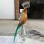 赤道鸚鵡-玻璃雕塑-原始穆拉諾玻璃OMG