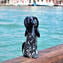 Perro Dalmata - Animales - Cristal de Murano original OMG