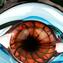 Look at Me - Eye - Vetro di Murano Originale