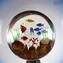 Lampe de Table Disque sur Pied - Aquarium - Verre de Murano Original