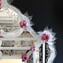 Cornaro Princess - Wall Venetian Mirror - Murano Glass 