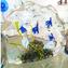 Escultura Aquarium - com Tropical JellyFish - Original Murano Glass OMG