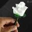 玫瑰花朵-白色-穆拉諾玻璃原味OMG