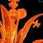 Lustre vénitien - Lion orange - Verre de Murano original