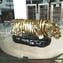 Tigre sur socle - Sculpture - Verre de Murano original OMG