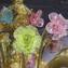 Lampadario Veneziano - Rosetto Ambra - Vetro di Murano originale