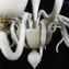 Venetian Chandelier Ivory Shade - Original Murano Glass OMG