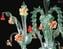 Venetian Chandelier Rezzonico Marciano - Original Murano Glass