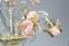 Venezianischer Kronleuchter Rosetto Pink Gold 24kt - Original Murano Glas