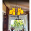 Picante - Lâmpada suspensa 6 luzes - Vidro Murano original OMG