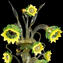 Wandlampe Venezianische Sonnenblumen mit Spatzen - Original Muranoglas