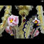 Venetian Chandelier Rezzonico -  Flowery - Golden - All gold Gold 24k - Original Murano Glass OMG