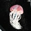Acuario de medusas exóticas - con lámpara led - Cristal de Murano original Omg