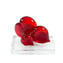 Hearts Love Familie - Briefbeschwerer - Original Murano Glas OMG