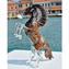 حصان - مع أفينتورين - زجاج مورانو الأصلي OMG