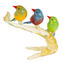 Wonderful Sparrows On A Branch - ouro 24KT - Original Murano Glass OMG