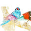 Wonderful Sparrows On tree - gold  24KT - Original Murano Glass OMG