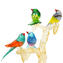 Wonderful Sparrows On tree - gold  24KT - Original Murano Glass OMG