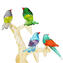 Wonderful Sparrows On tree - 金色 24KT - Original Murano Glass OMG