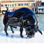 Black Bull - Fine Sculpture - Original Murano Glass OMG