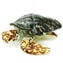 Sea Turtle - Fantasy - Original Murano Glass OMG