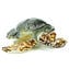 Sea Turtle - Fantasy - Original Murano Glass OMG