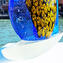 獨家 - 帆船 - 帶 Murrine 和銀 - 雕塑 - Original Murano Glass OMG