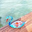 Cisne con pez - Cristal de Murano original OMG