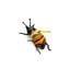 النحلة - زجاج مورانو الأصلي OMG