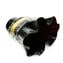 Black Rose - Vase with gold - Original Murano Glass