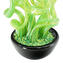 Blixa - planta acuática - Verde - Cristal de Murano original OMG