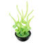 Blixa - Wasserpflanze - Grün - Original Muranoglas OMG