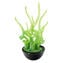 Blixa - plante aquatique - Vert - Verre de Murano original OMG