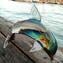 イルカの魚-カルセドニーの彫刻-オリジナルのムラーノグラスオム