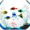 منحوتة حوض السمك - مع الأسماك الاستوائية - زجاج مورانو الأصلي OMG