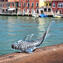 تمثال سمكة القرش - سومرسو مع ورقة فضية - زجاج مورانو الأصلي OMG